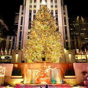 Meet your Posher, Irina